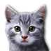 kitty_01.png
