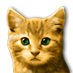 kitty_04.png